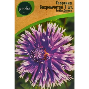 Георгина Geolia бахромчатая Тейбл Дансер 86408560 STLM-2207904