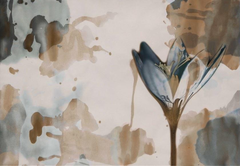 Wall&decò Экологические огнестойкие обои с цветочными мотивами Contemporary wallpaper 2020 Wdde200 - Вид №2