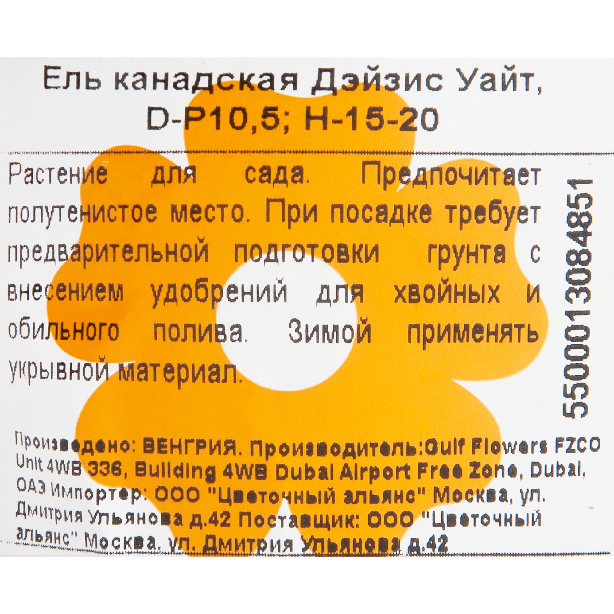 82601651 Ель канадская «Дэйзис Уайт» 10x15 см Santreyd  - Вид №2