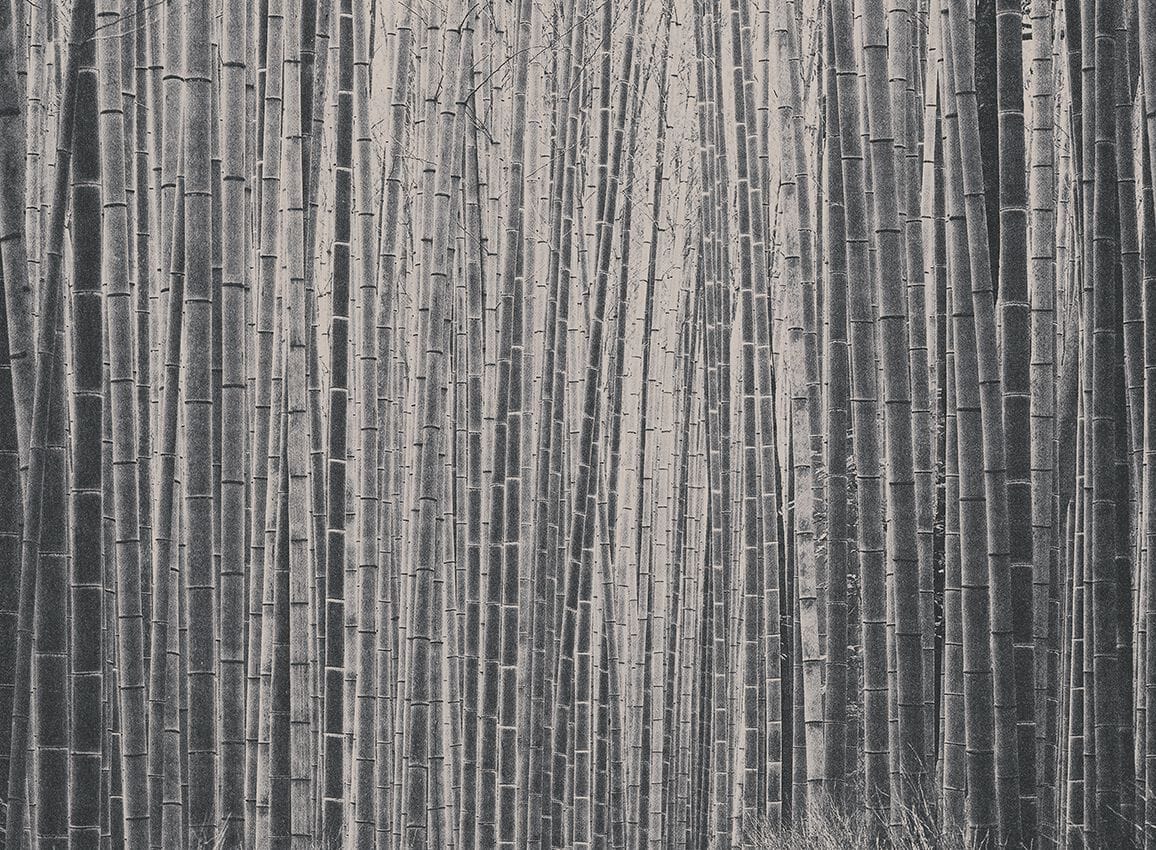 Обои с рисунком Jannelli&Volpi СП 201 MURALS DECOR ARCH-00075370