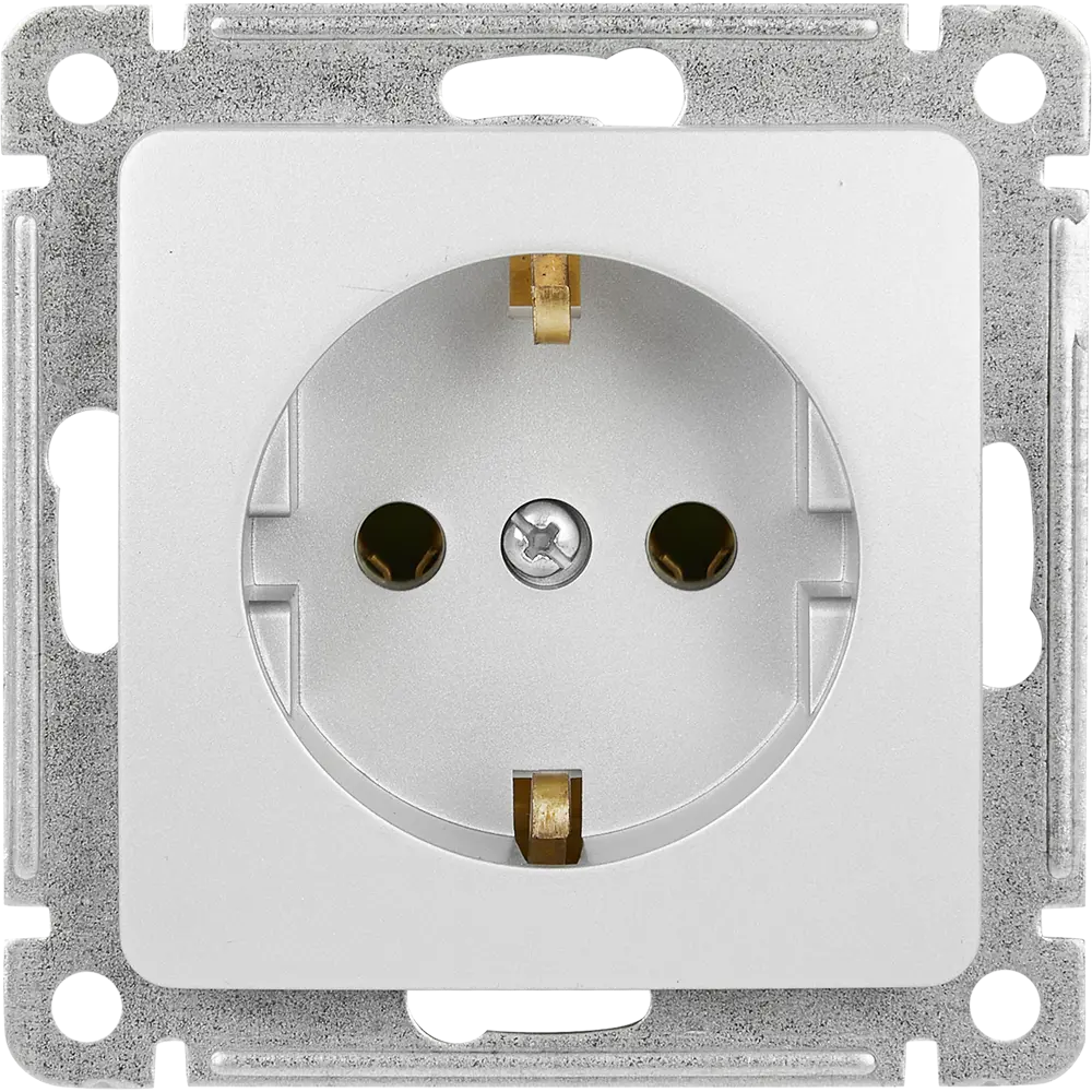 Розетка Hegel Мастер серебристая с заземлением 82493765