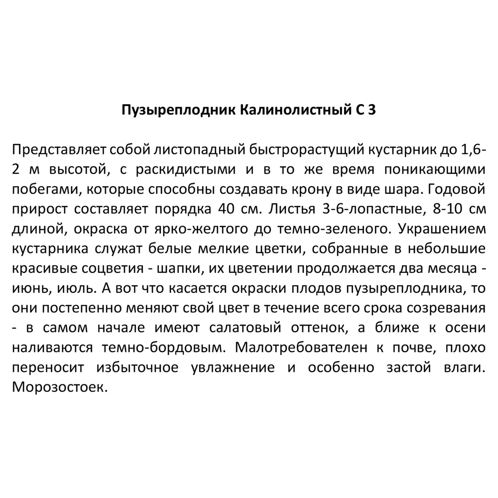 Santreyd Пузыреплодник калинолистный для живой изгороди 87620870 STLM-0074563 - Вид №2