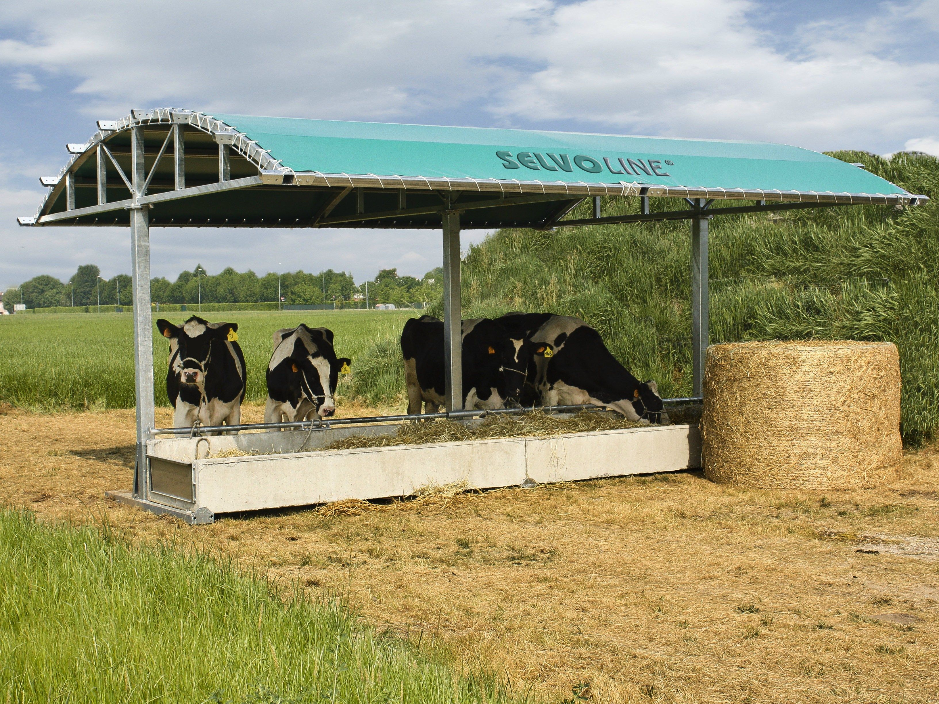 Навес для укрытия и кормления скота SELVOLINA ALPINA ARCH-00023456 - Вид №2