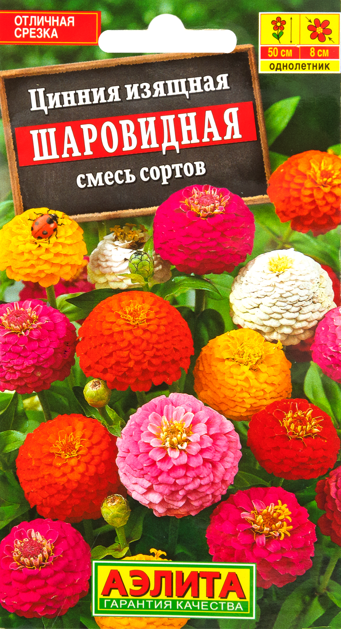 Цинния Шаровидная Santreyd - яркая смесь сортов для сада 83495466