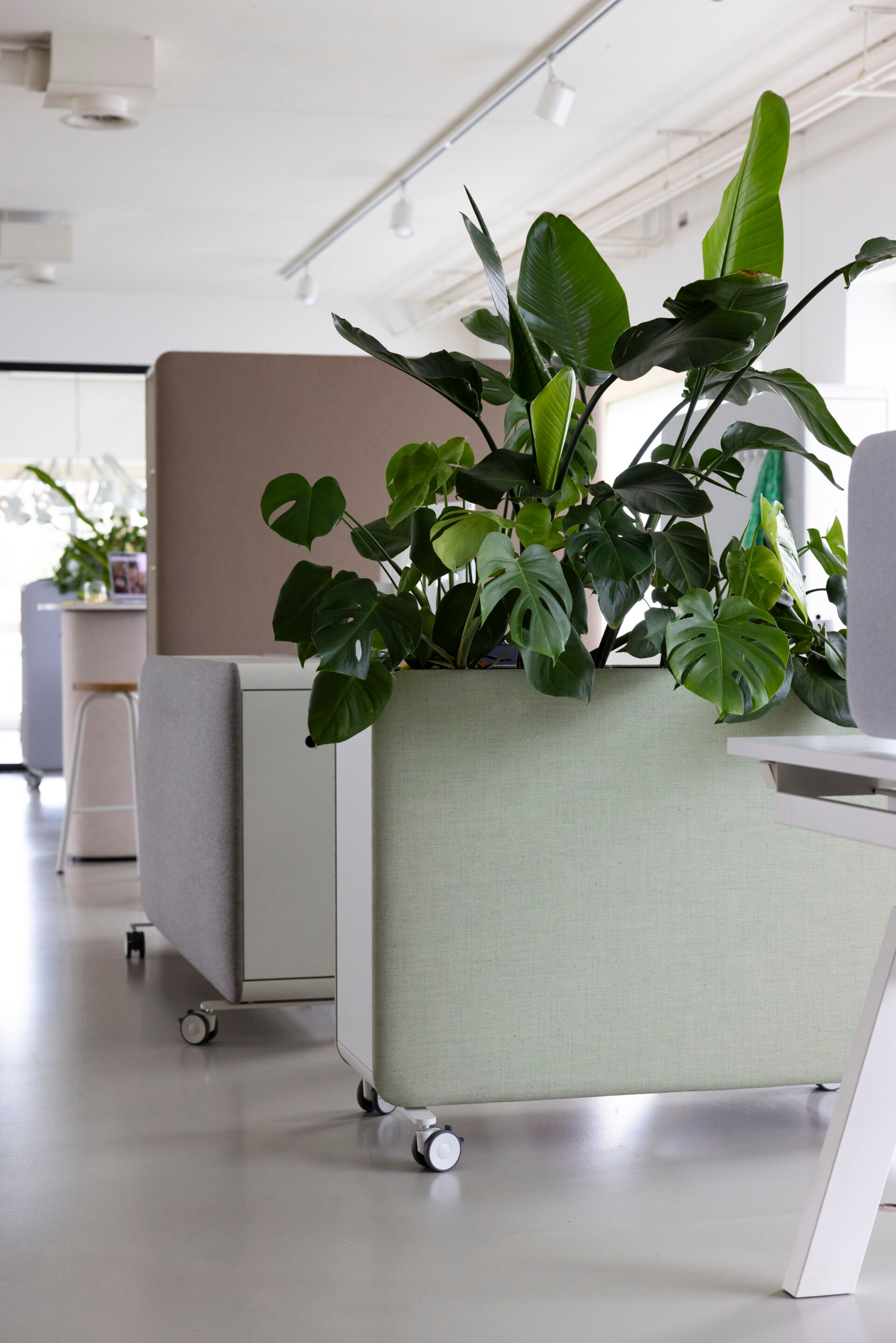 Прямоугольный держатель для унитаза из ткани Cascando Pillow ARCH-00131828 - Вид №2