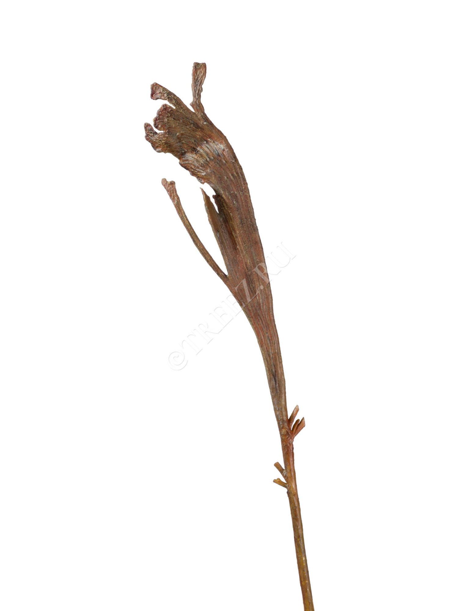 30.0613206BR Ветка Салекса коричневая Цветочная коллекция 