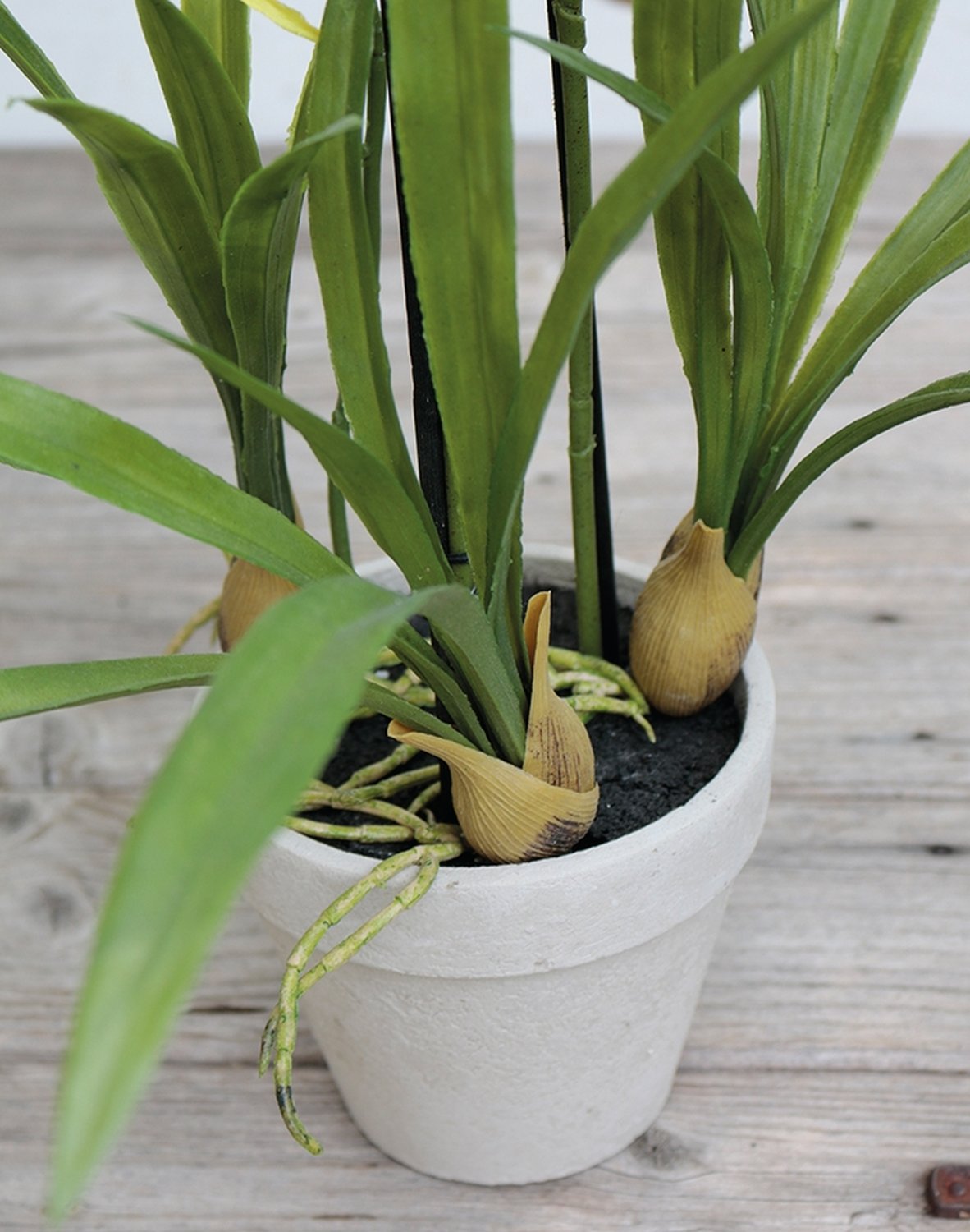 2529 788 a3 Искусственная орхидея паук (brassia), горшечная, 50 см, бежево-зеленая H-andreas  - Вид №4