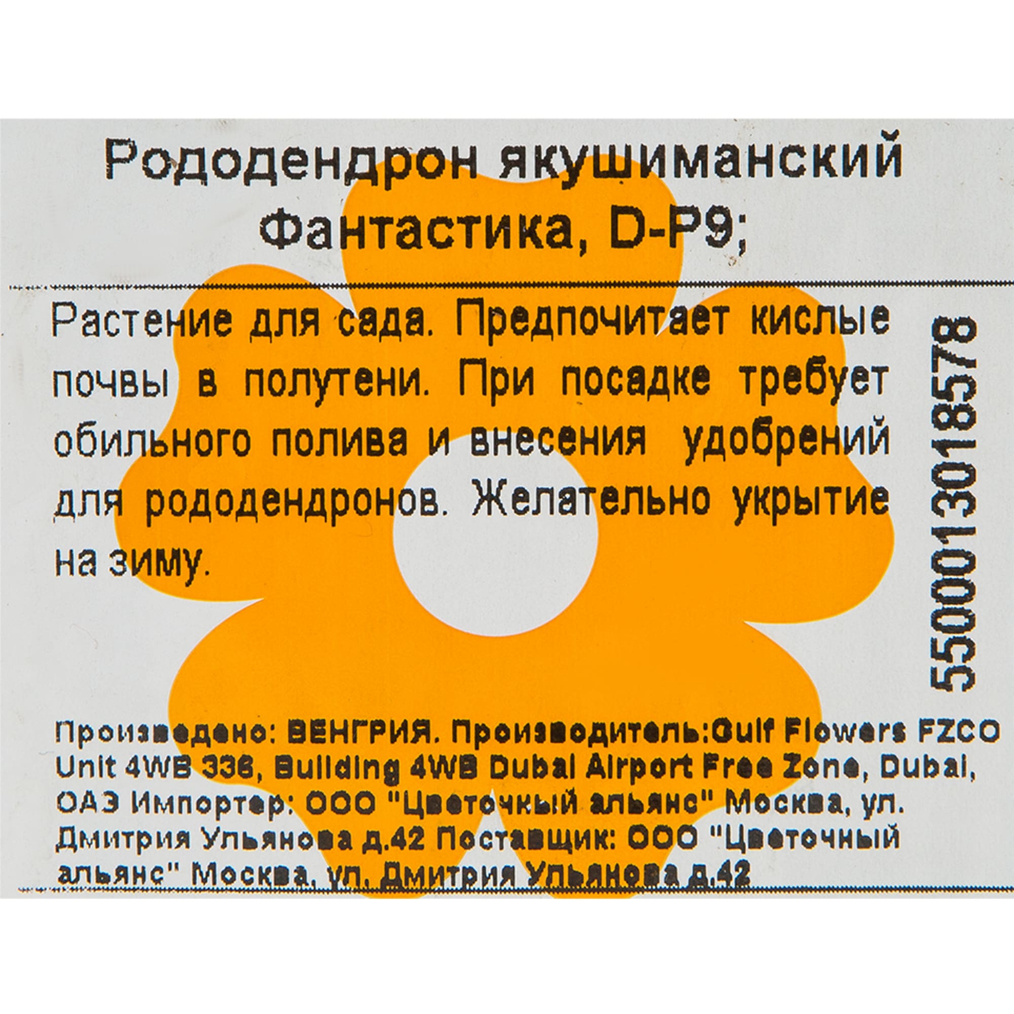 82176136 Рододендрон якушиманский «Фантастика» P9 Santreyd  - Вид №1