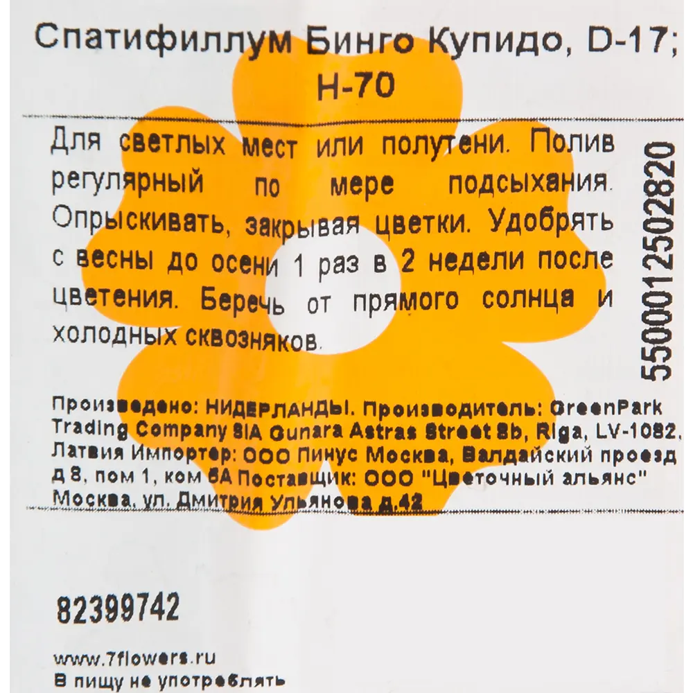 Спатифиллум Бинго Купидо 17x70 см 82399742 STLM-2033998 Santreyd  - Вид №2
