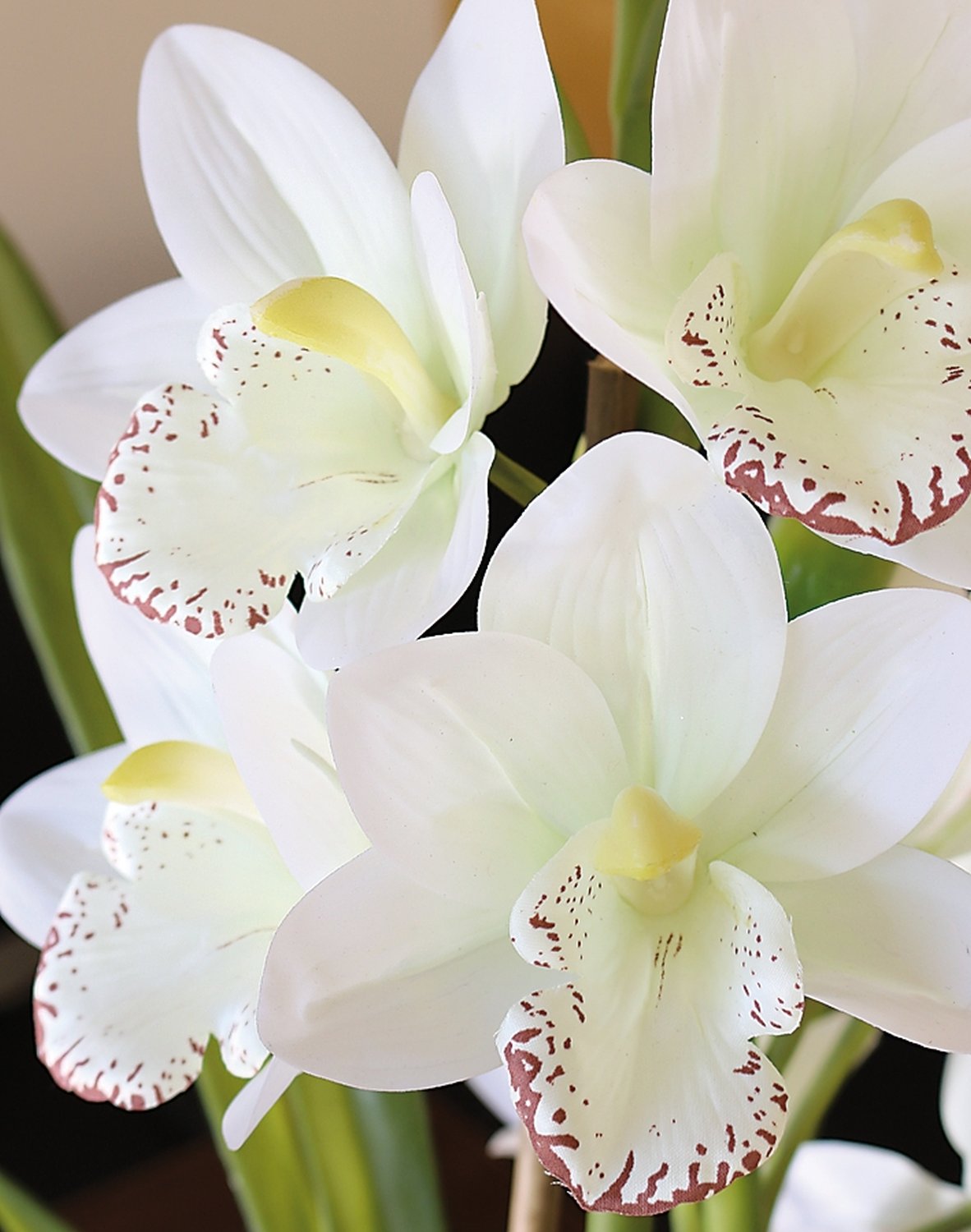 2532 778 a3 Пластиковая орхидея цимбидиум, горшок, 71 см, горшок, real touch soft, бежево-белый H-andreas  - Вид №11