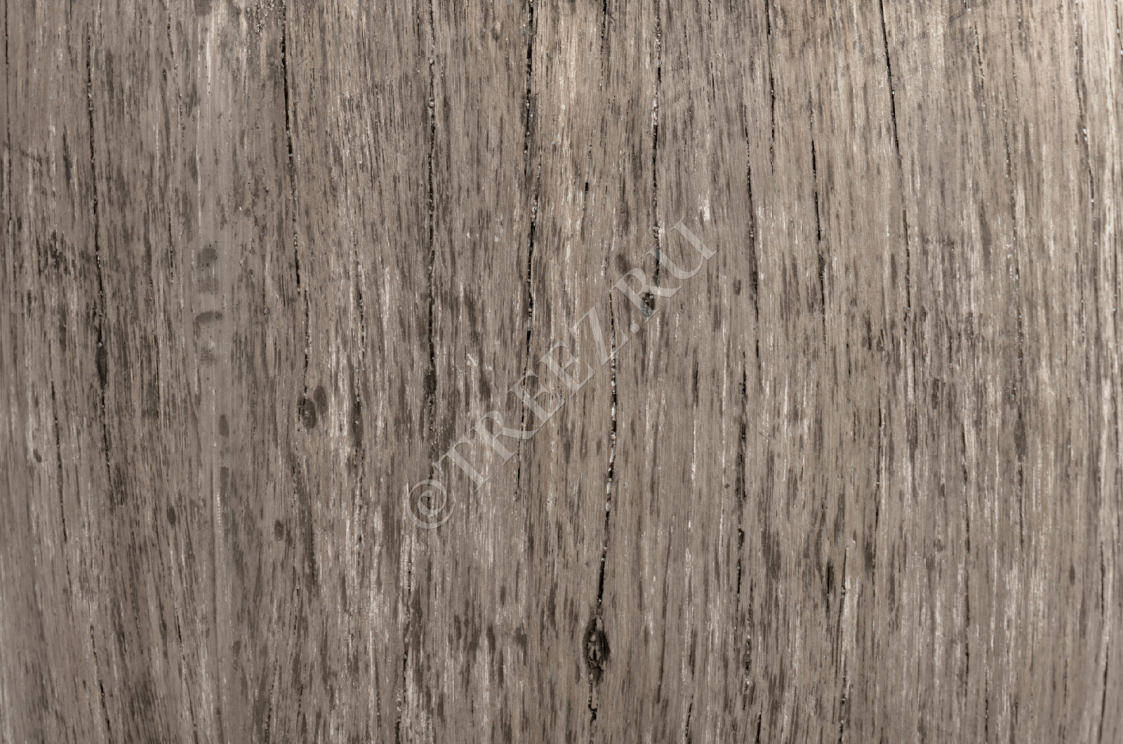 41.3317-03-012-WGR-49 Кашпо  Effectory - серия Wood - Округлый конус - Белёный дуб Цветочная коллекция  - Вид №1