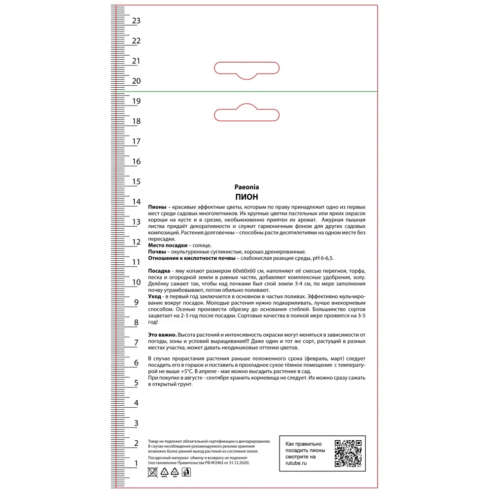 Пион гибридный Мэни Хэппи Ритернз 89452247 STLM-2099423 ПОИСК  - Вид №1