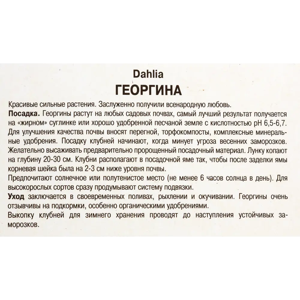 Георгины декоративные «Сидлер Штольце», 1 шт. 82118678 STLM-2010275 Santreyd  - Вид №2