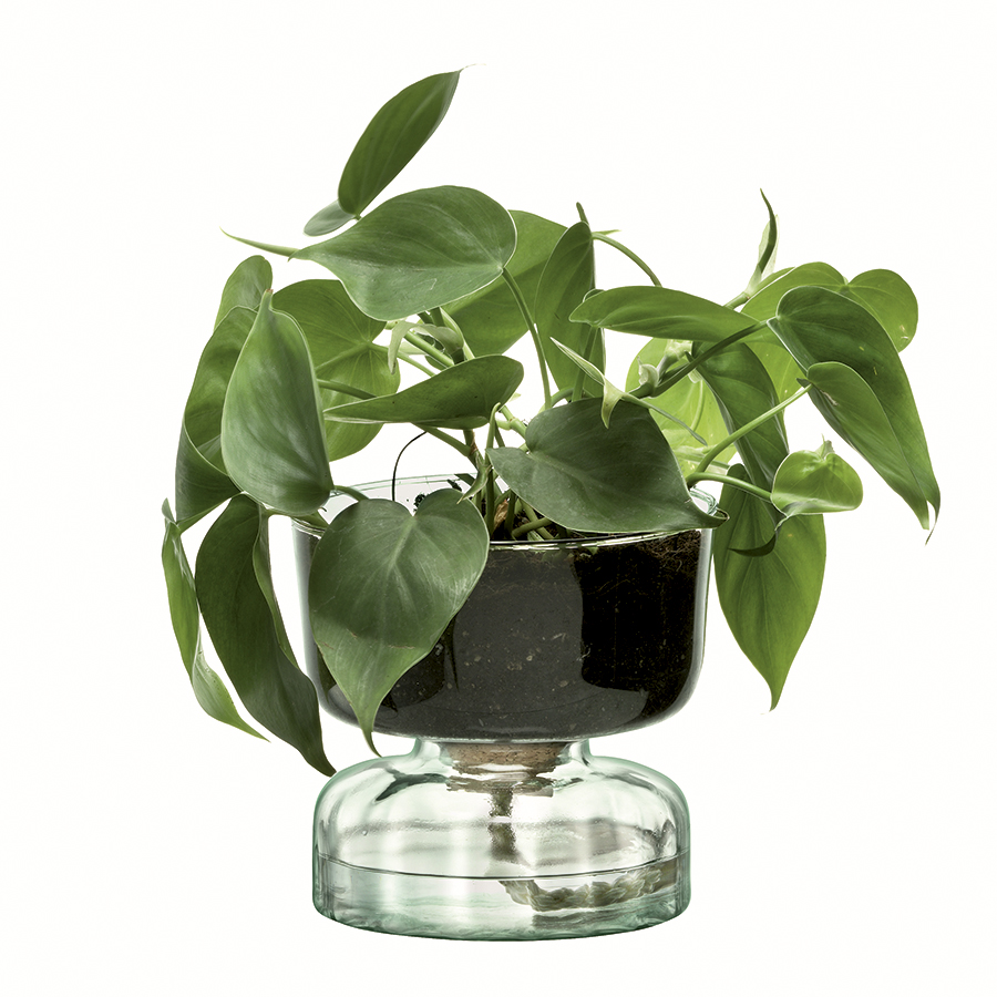 G1579-13-161 Горшок с функцией самополива 13см прозрачный LSA International  - Вид №2