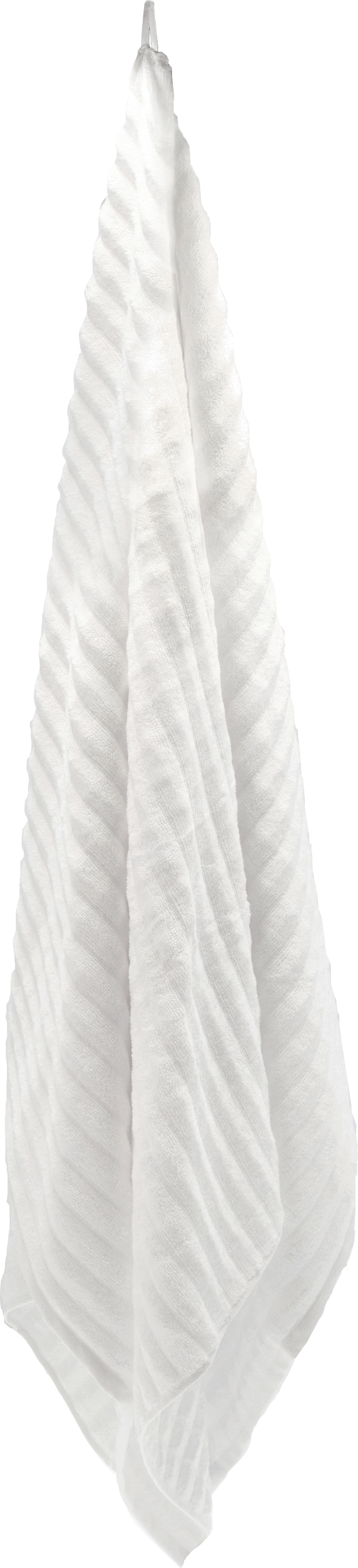 28247 пляжное полотенце Zone Denmark Inu - Вид №1