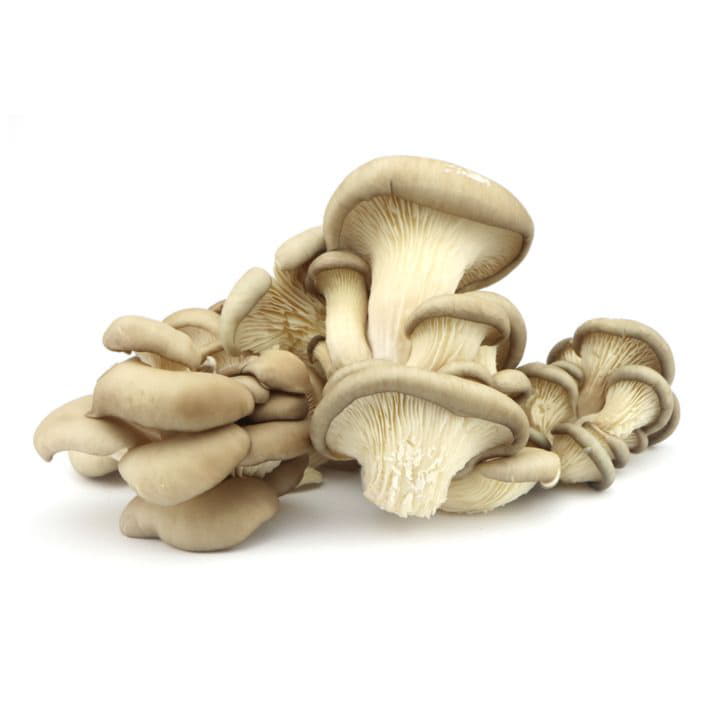 Грибы Вешенки Santreyd 8643