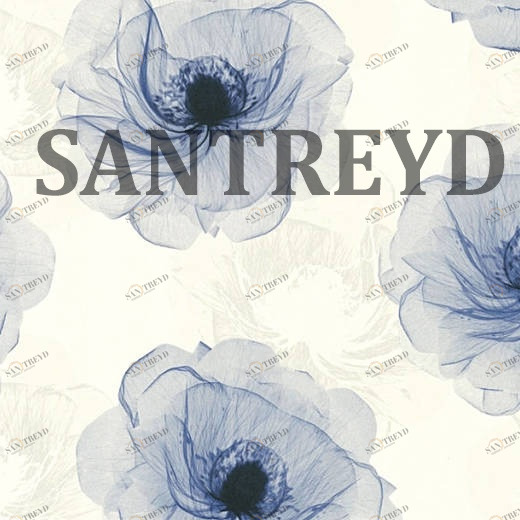 34274-1 Обои A.S. Creation X-Ray 342741