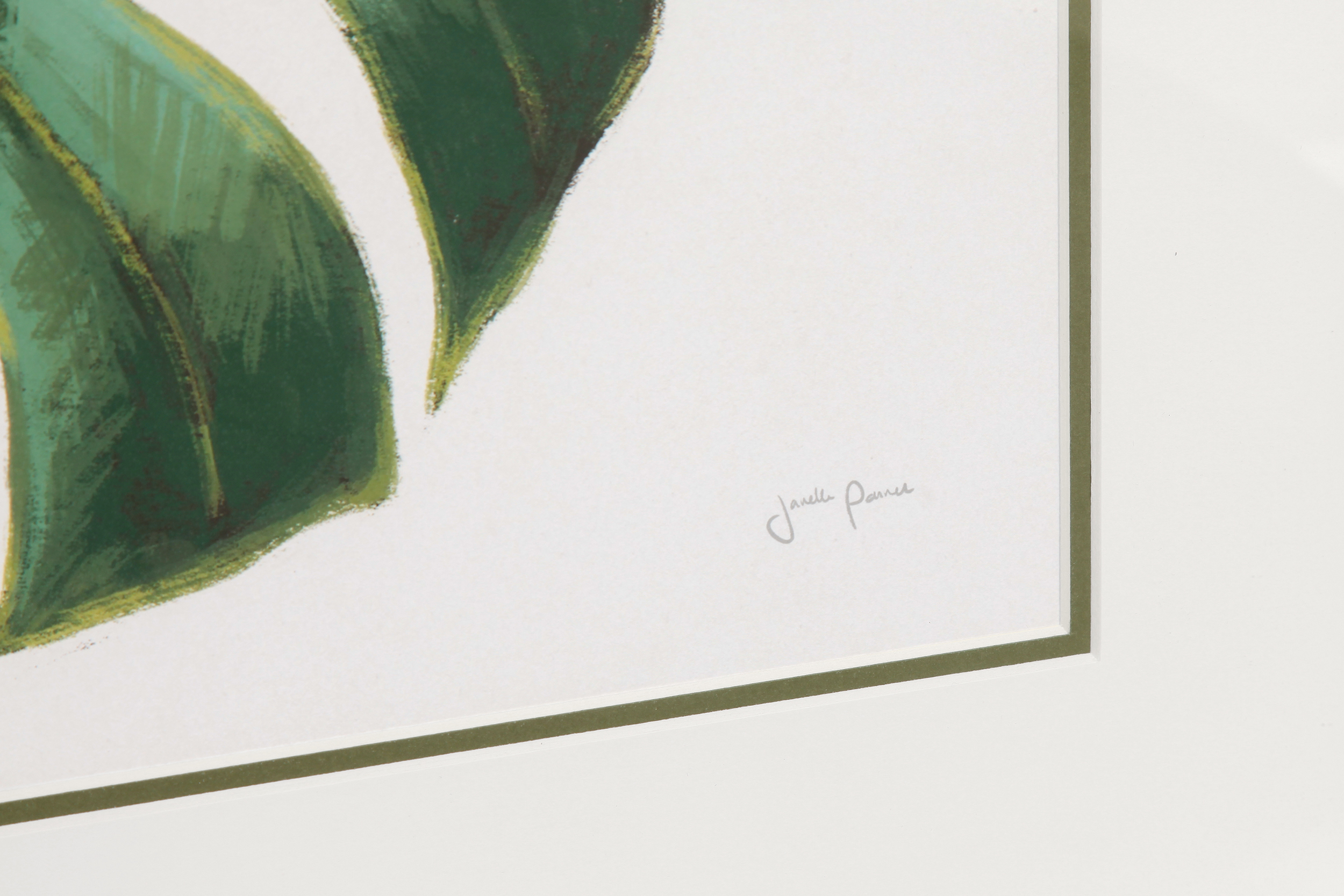 2000983162151 Постер Monstera COSMO RED  - Вид №3