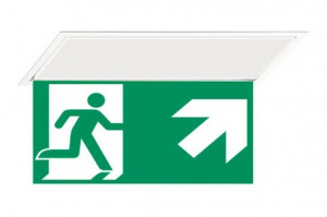 DST-330 Hydra pennant Daisalux Светильники аварийные Белый