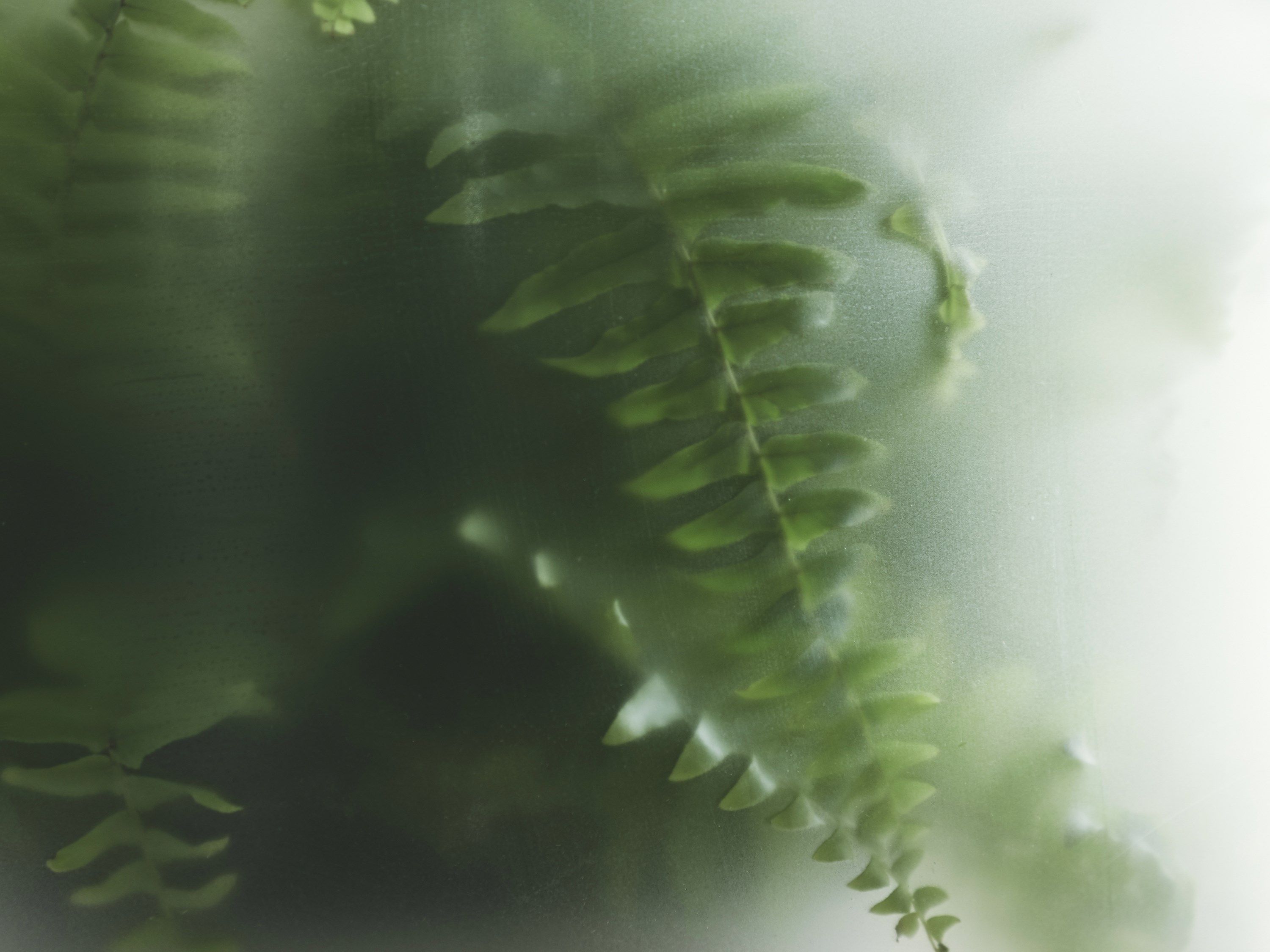 Замороженная стеклянная ваза Gejst Nebl ARCH-00040838 - Вид №7