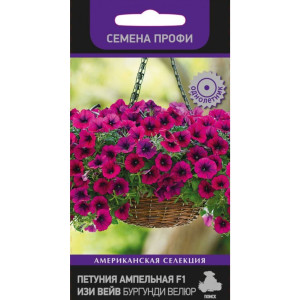 Петуния ампельная Изи Вейв Бургунди Велюр ПОИСК - винный водопад цветов 83227402