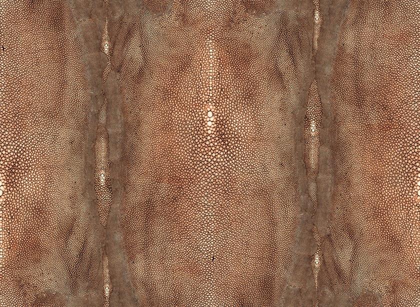 LELIEVRE Геометрические обои из виниловой ткани Jean paul gaultier - un monde parfait 3326 - Вид №7