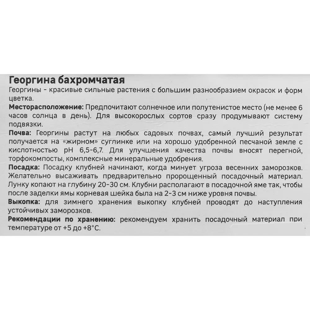 Георгина Geolia бахромчатая Тейбл Дансер 86408560 STLM-2207904  - Вид №3