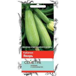 Семена Кабачок «Якорь» 83147285 STLM-2159467