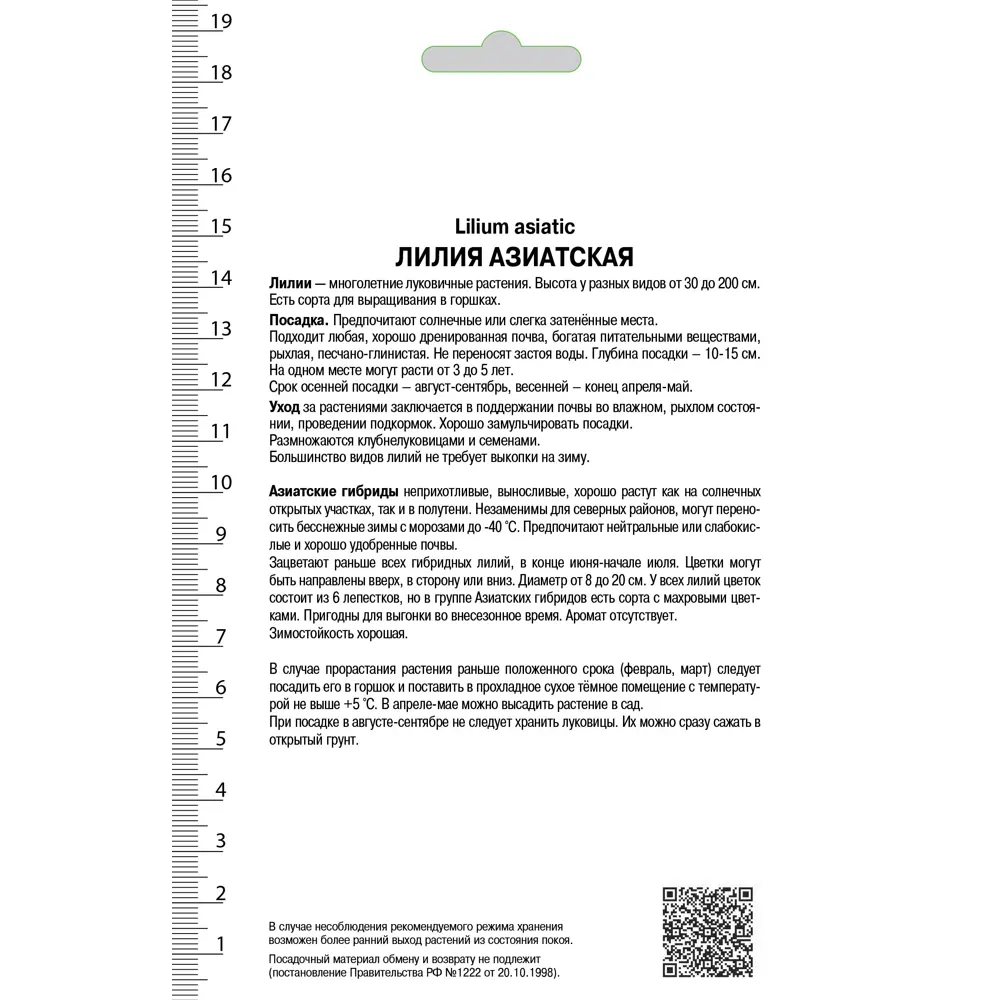 Лилия азиатская махровая «Спринг Пинк» 81945466 STLM-2172779 Santreyd  - Вид №1