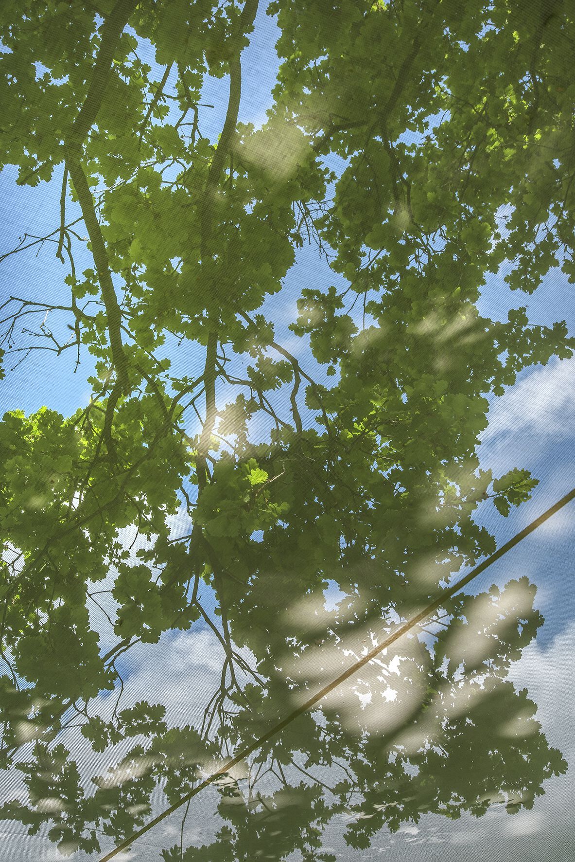 Отдельно стоящая беседка из тика Ethimo COSMO ARCH-00004669 - Вид №5