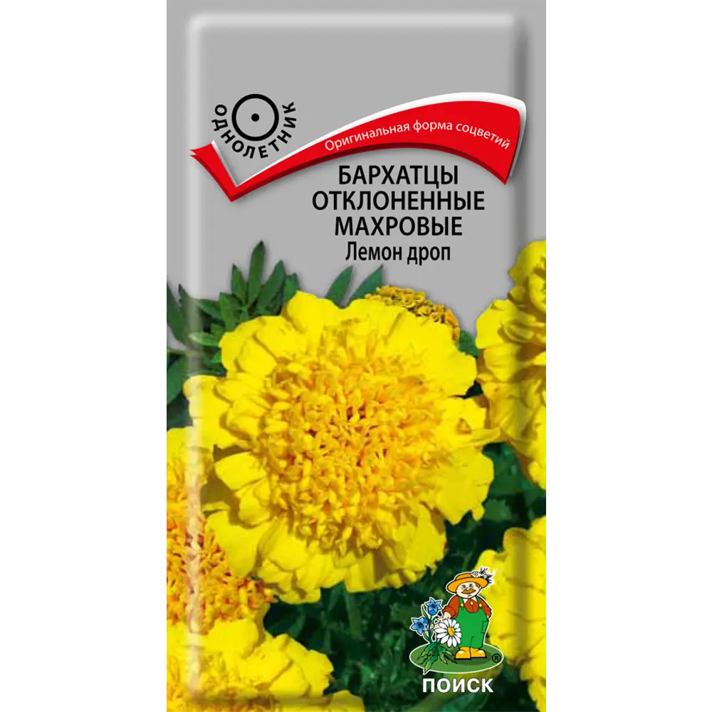 Бархатцы отклон махров Лемон дроп 0.4 г 83577531 STLM-2027978 ПОИСК 