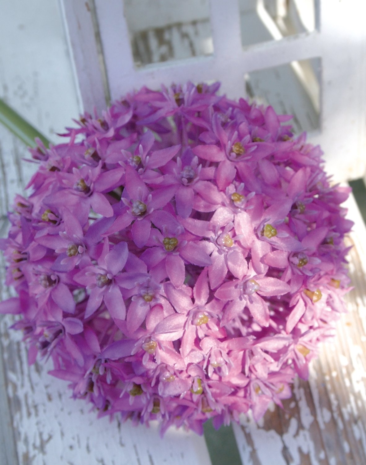 3527 222 a3 Искусственный лук, 80 см, темно-фиолетовый H-andreas  - Вид №4