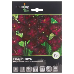Гладиолус Блэк Сюрпрайз луковица 12/14 7 шт 17511296 STLM-2185740