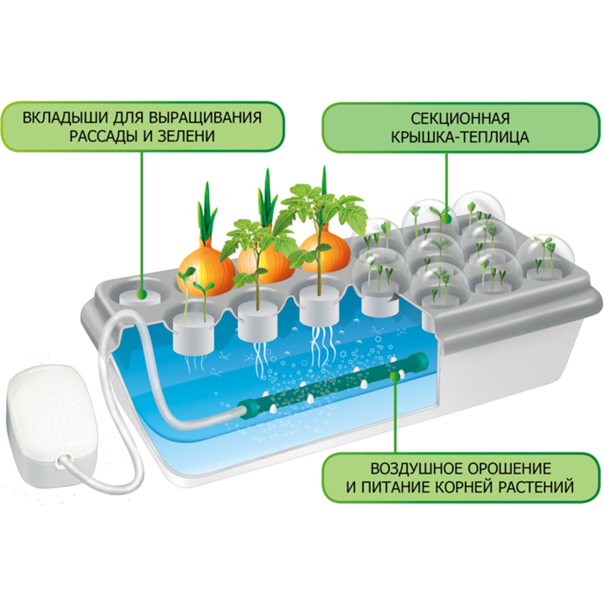 82116459 Проращиватель Здоровья клад «Чудо грядка» Santreyd  - Вид №6