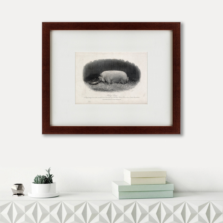 Литография на тонированной бумаге 42х52 см A prize boar, 1867 КАРТИНЫ В КВАРТИРУ  135691 Белый;коричневый;разноцветный  - Вид №1