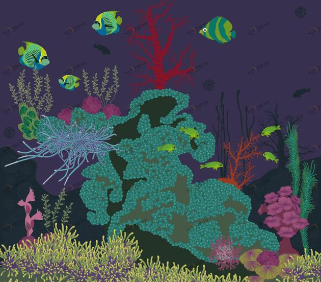 CONCEPTUWALL Клейкое оформление на флизелиновой бумаге Nautilus sun-id-1509110