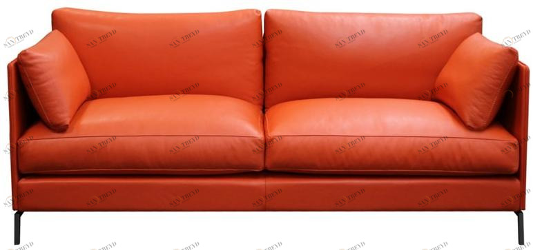 Duvivier Canapés 2-х местный кожаный диван со съемным чехлом Lodge Lodgxf21