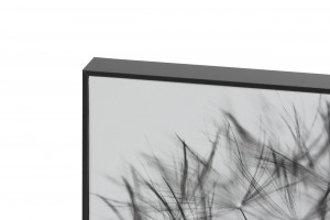 8433840552637 Картина Small Calantha одуванчик 40x30 GUDEE