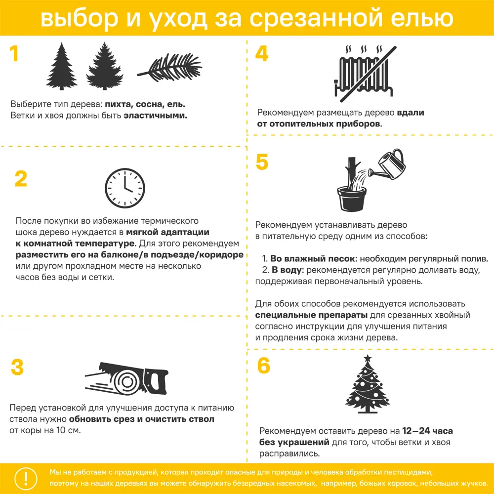 Пихта Нордмана h100-150 см 85848718 STLM-2048892 Santreyd  - Вид №4