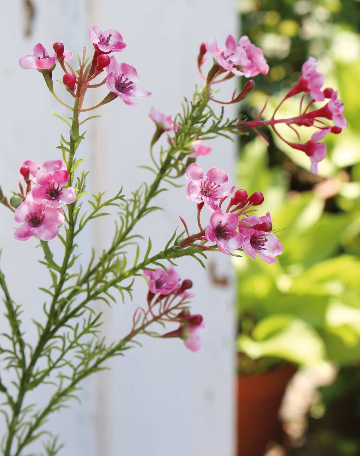 2021 515 a3 Растение из искусственного воска, 65 см, розовое H-andreas  - Вид №1