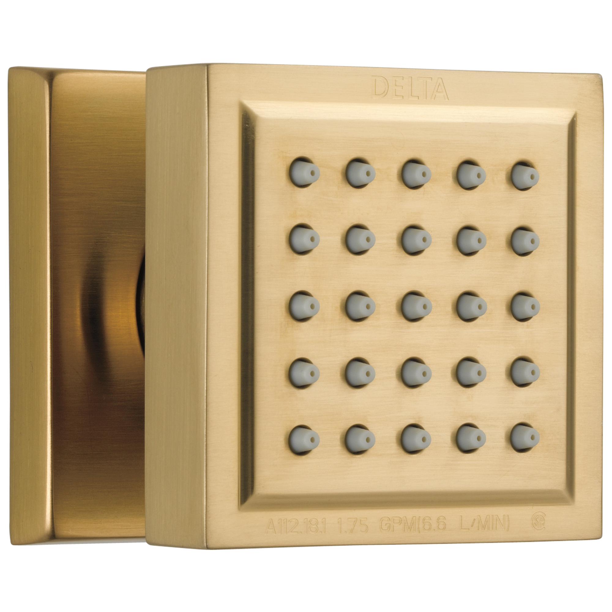 50150-KS Спрей для тела для поверхностного монтажа Delta Faucet Delta Черный нержавеющий