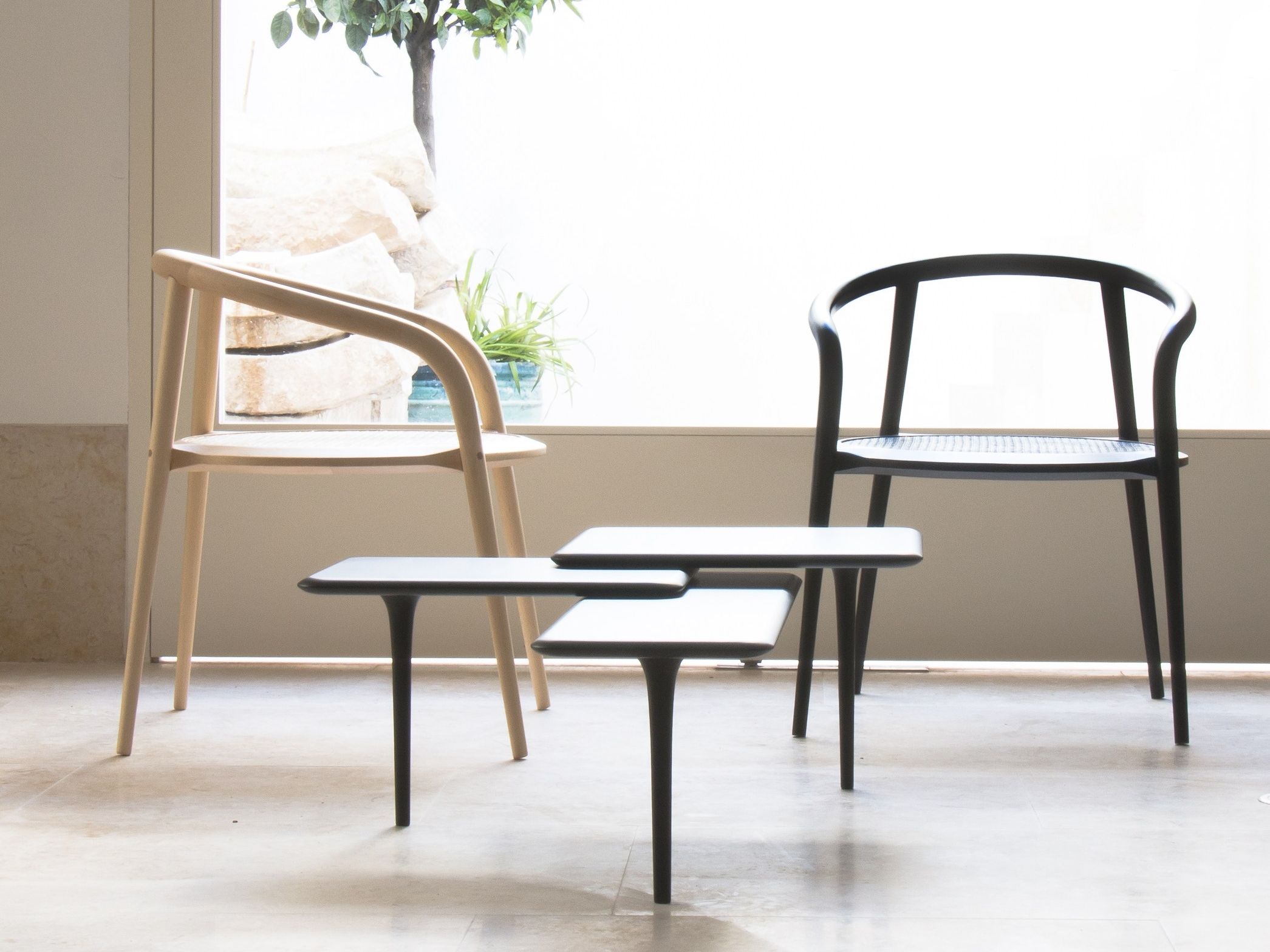 Стул из бука с подлокотниками Branca Lisboa ARANHA ARCH-00062003 - Вид №6