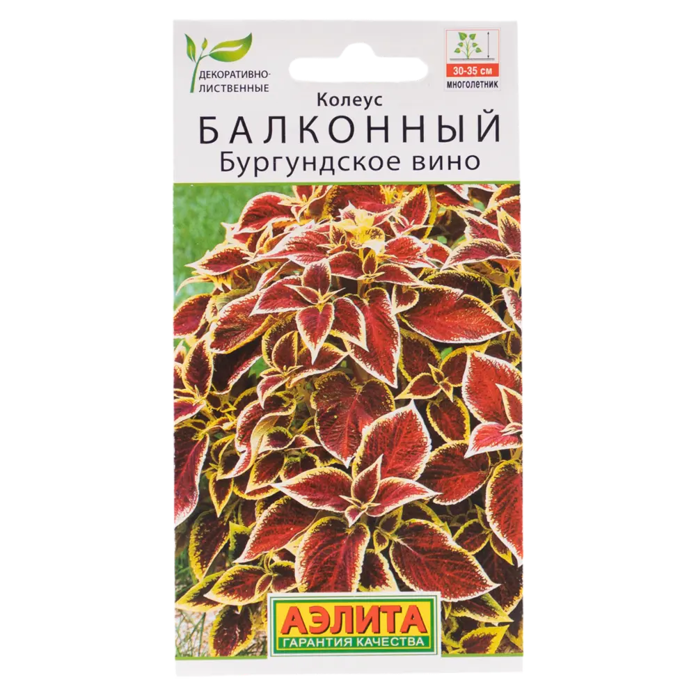 Семена колеуса балконного Бургундское вино - яркий акцент для сада и балкона 89338560 Santreyd STLM-1583704