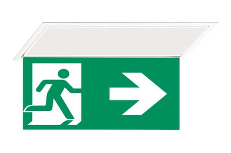 DST-199 Hydra pennant Daisalux Светильники аварийные Белый 