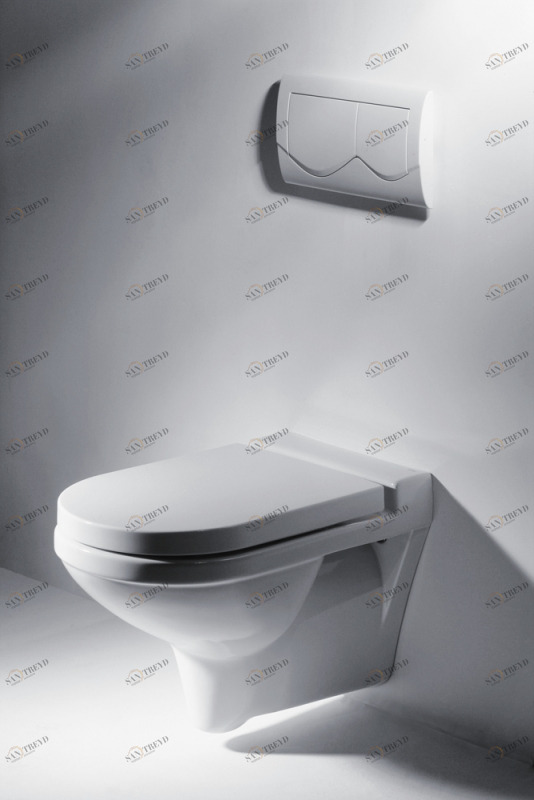 C2166W-ENG Подвесной унитаз настенный Белый Bravat New Moon Китай