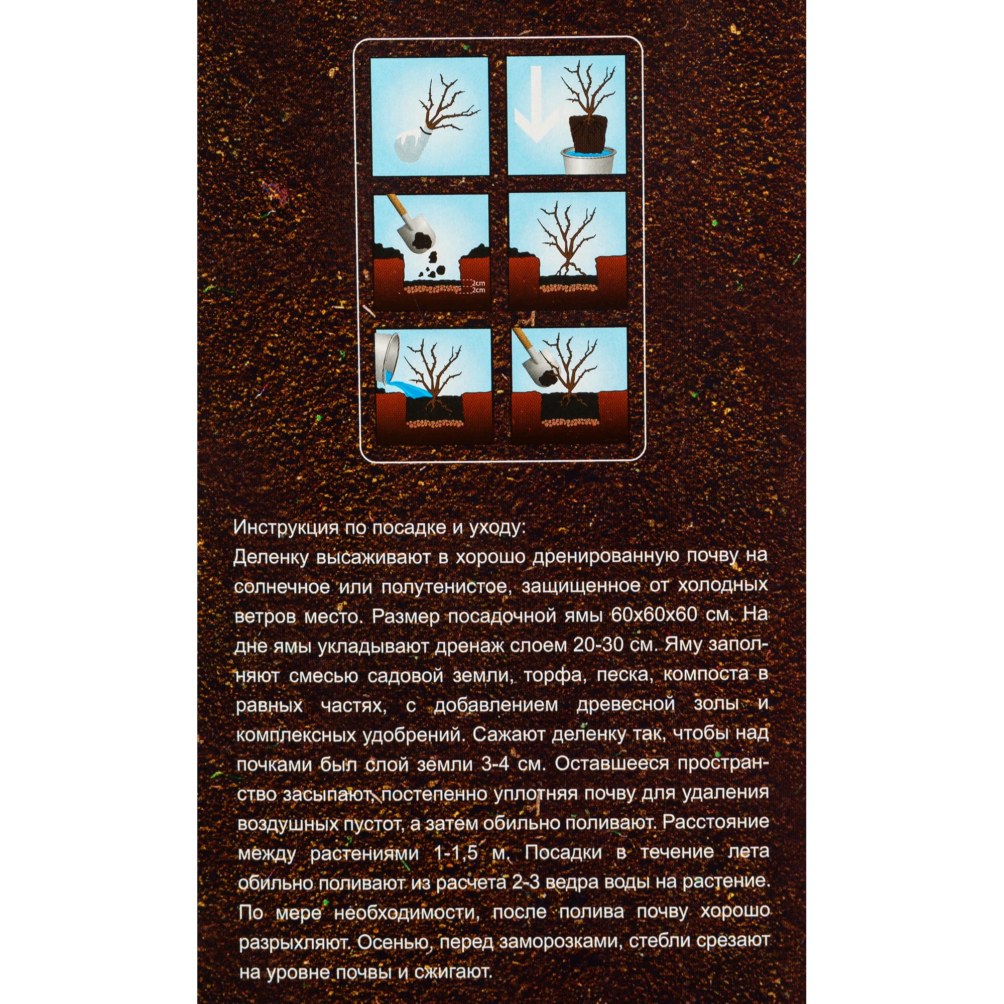 82142823 Пион древовидный привитый «Серебристый ручей» в тубе Santreyd  - Вид №2