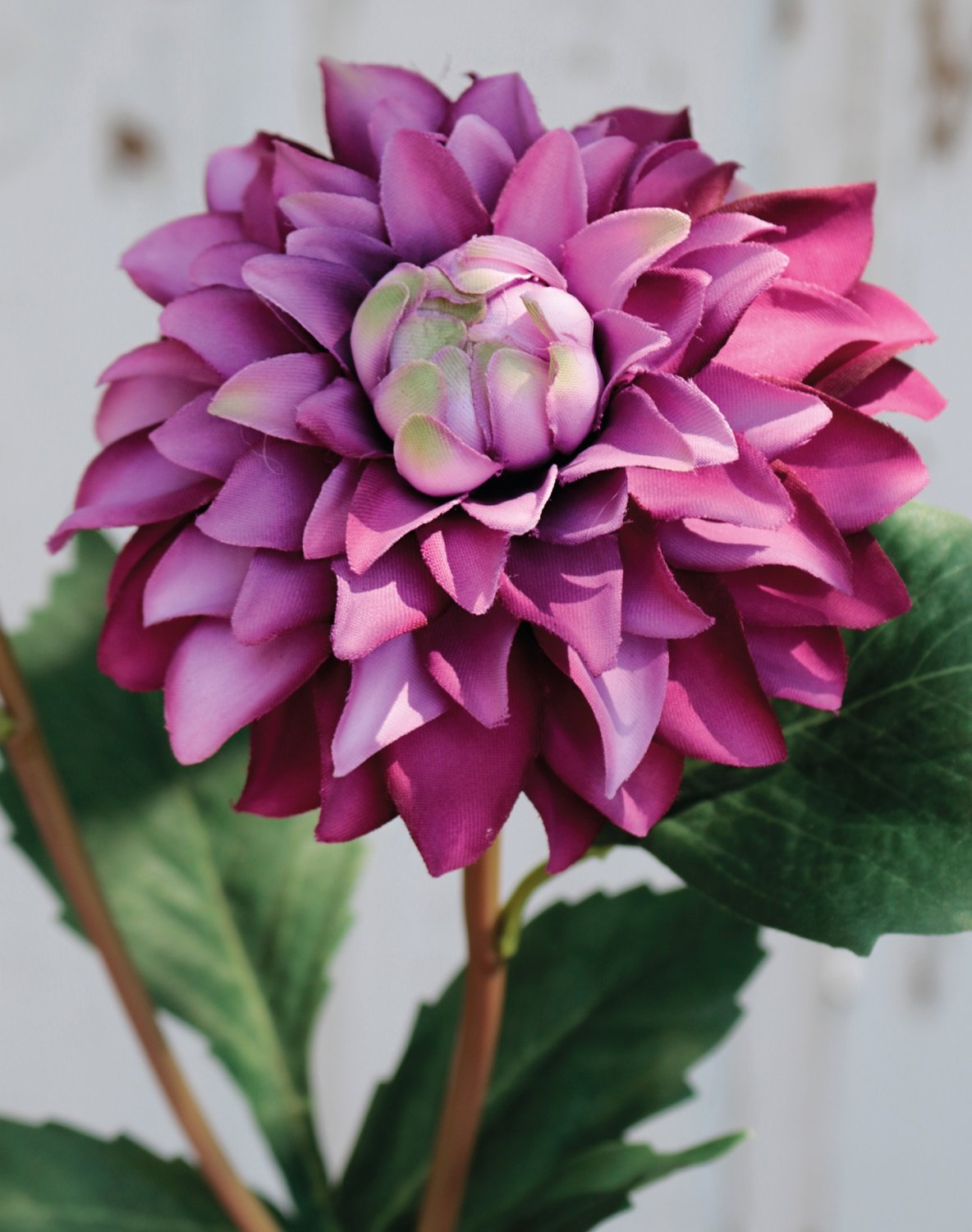 2451 222 a3 Пластиковый георгин, 56 см, темно-фиолетовый H-andreas  - Вид №3