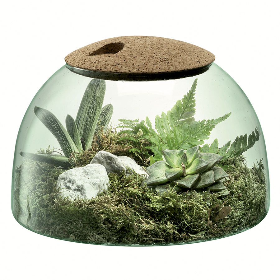 G1580-16-161 Флорариум canopy 16см LSA International  - Вид №3