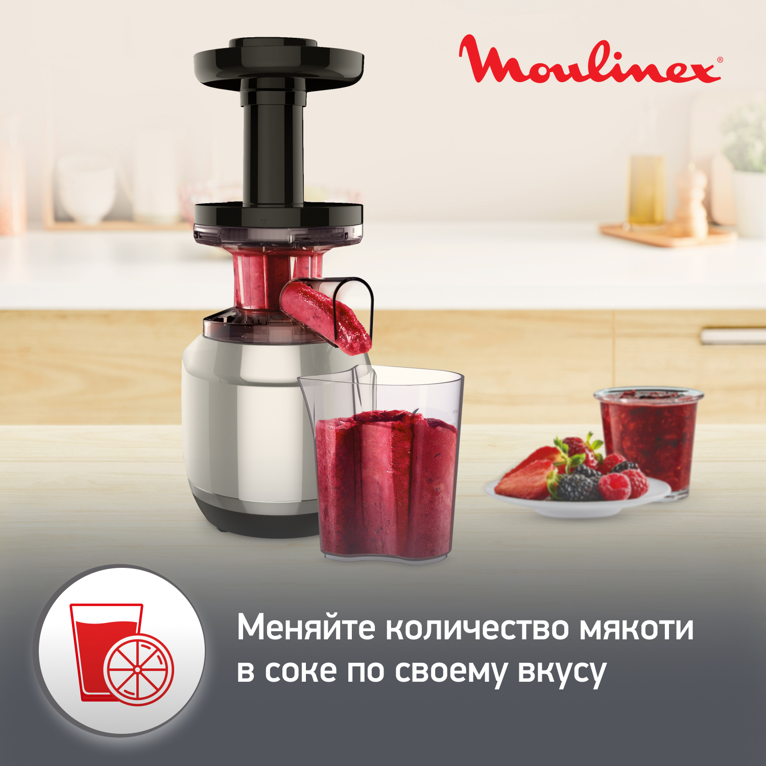 9225085 Соковыжималка электрическая Moulinex ZU420E10 серебристый STDN-0062702 - Вид №10