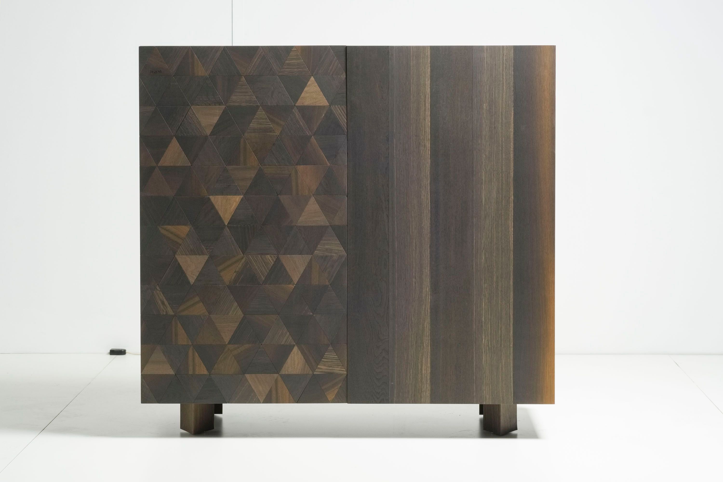 Шкаф из ископаемого дуба Teúkhō TRIGONO ARCH-00056133 - Вид №2